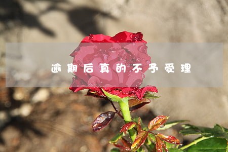 逾期后真的不予受理 逾期后真的不予受理