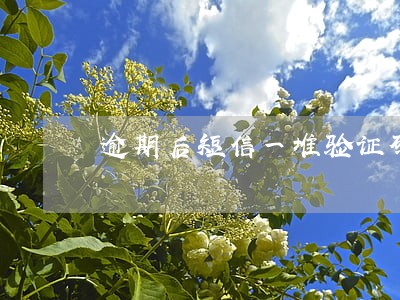 逾期后短信一堆验证码