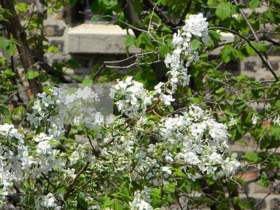 逾期后短信告知去拿传票 逾期后短信告知去拿传票