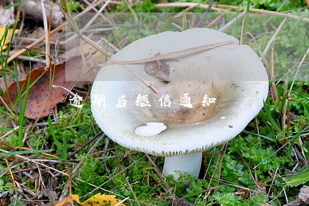 逾期后短信通知