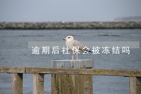 逾期后社保会被冻结吗
