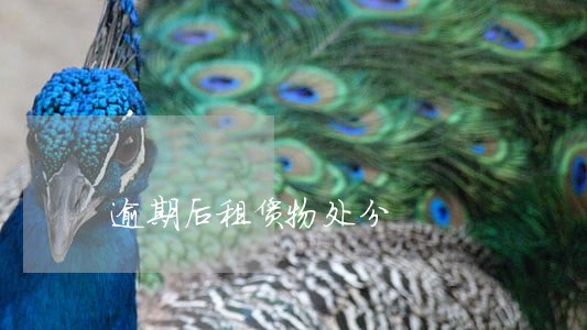 逾期后租赁物处分