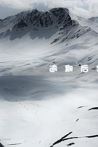 逾期后突然显示还款了 逾期后突然显示还款了