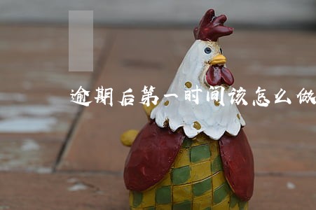 逾期后第一时间该怎么做 逾期后第一时间该怎么做