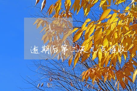 逾期后第二天几点催收 逾期后第二天几点催收