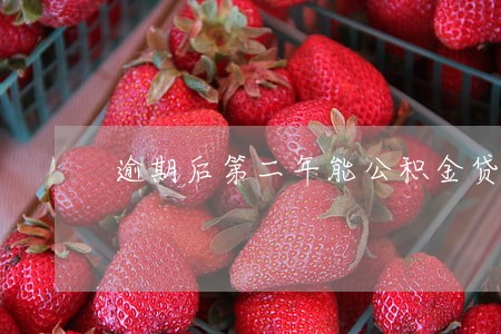 逾期后第二年能公积金贷款吗 逾期后第二年能公积金贷款吗