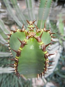 逾期后结清欠款征信多久恢复 逾期后结清欠款征信多久恢复