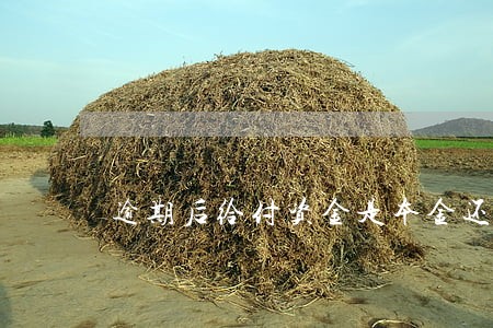逾期后给付资金是本金还是利息 逾期后给付资金是本金还是利息