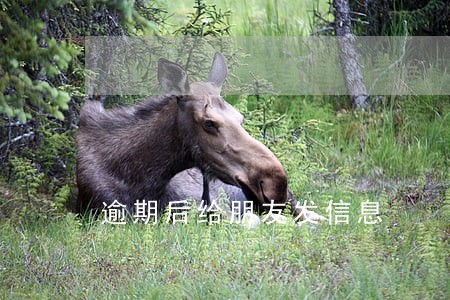 逾期后给朋友发信息 逾期后给朋友发信息