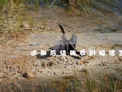 逾期后给朋友的短信怎么写 逾期后给朋友的短信怎么写