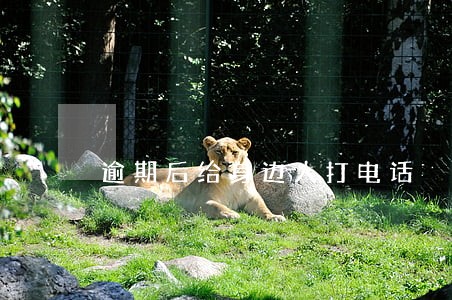 逾期后给身边人打电话 逾期后给身边人打电话