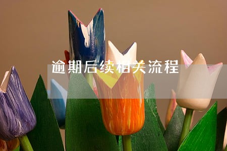 逾期后续相关流程 逾期后续相关流程