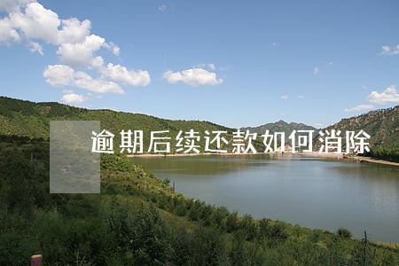 逾期后续还款如何消除
