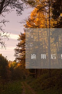 逾期后缴纳滞纳金还会上征信吗 逾期后缴纳滞纳金还会上征信吗