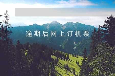 逾期后网上订机票 逾期后网上订机票