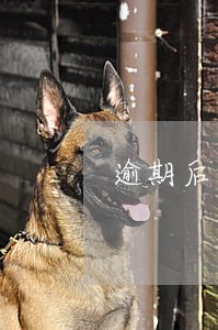 逾期后网络公布是真的吗 逾期后网络公布是真的吗