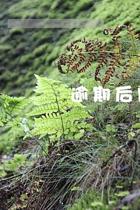 逾期后网贷公司倒闭 逾期后网贷公司倒闭
