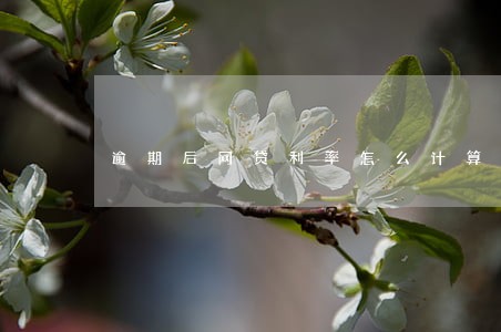 逾期后网贷利率怎么计算 逾期后网贷利率怎么计算
