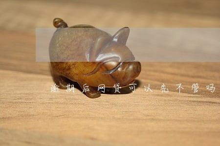 逾期后网贷可以先不管吗 逾期后网贷可以先不管吗