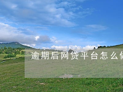 逾期后网贷平台怎么做分期 逾期后网贷平台怎么做分期