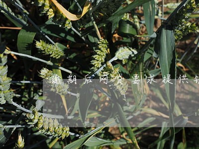 逾期后网贷要求提供银行流水 逾期后网贷要求提供银行流水