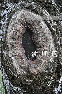 逾期后网贷贷不了 逾期后网贷贷不了