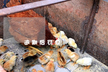 逾期后罚息 逾期后罚息