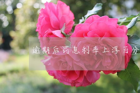 逾期后罚息利率上浮百分之50 逾期后罚息利率上浮百分之50