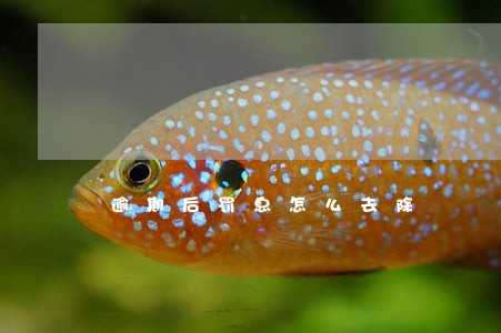 逾期后罚息怎么去除 逾期后罚息怎么去除