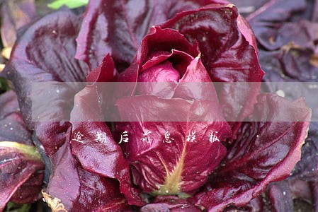 逾期后罚息模板 逾期后罚息模板