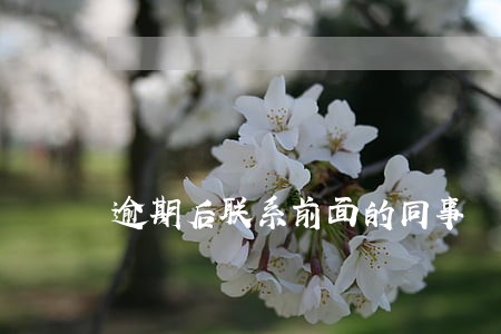 逾期后联系前面的同事