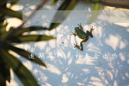 逾期后联系村委合法吗 逾期后联系村委合法吗