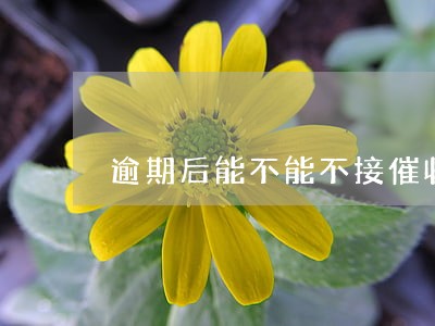 逾期后能不能不接催收电话 逾期后能不能不接催收电话
