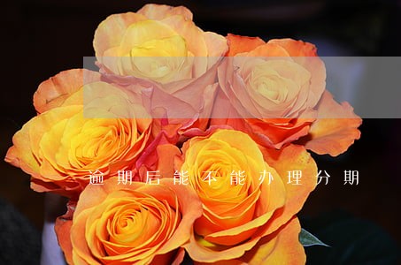 逾期后能不能办理分期 逾期后能不能办理分期