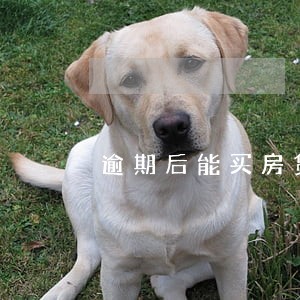 逾期后能买房贷款吗 逾期后能买房贷款吗
