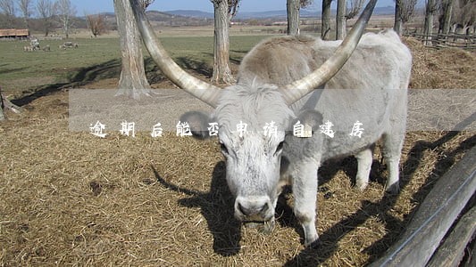 逾期后能否申请自建房 逾期后能否申请自建房