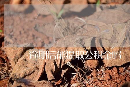 逾期后能提取公积金吗 逾期后能提取公积金吗