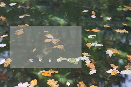 逾期后能注销卡 逾期后能注销卡