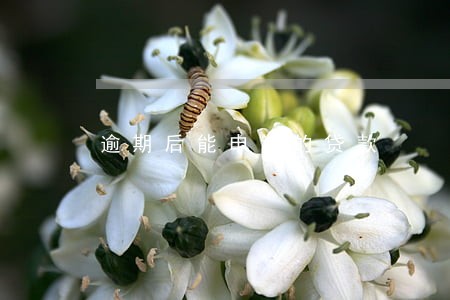 逾期后能申请的贷款 逾期后能申请的贷款