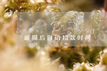 逾期后自动扣款时间