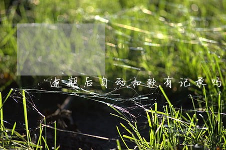 逾期后自动扣款有记录吗 逾期后自动扣款有记录吗
