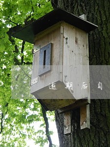 逾期后自己协商还是由律师协商好 逾期后自己协商还是由律师协商好