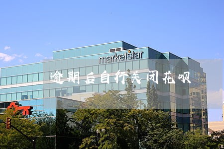 逾期后自行关闭花呗 逾期后自行关闭花呗