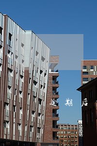 逾期后芝麻信用分不涨 逾期后芝麻信用分不涨