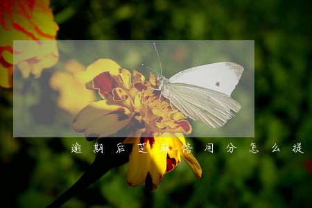 逾期后芝麻信用分怎么提高 逾期后芝麻信用分怎么提高