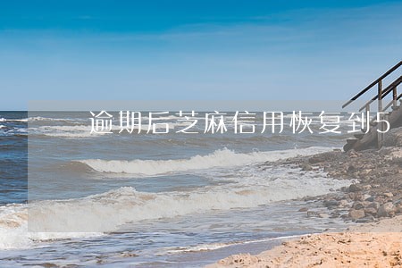逾期后芝麻信用恢复到585 逾期后芝麻信用恢复到585
