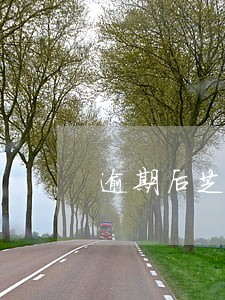 逾期后芝麻分一个月涨一分