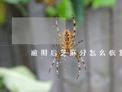 逾期后芝麻分怎么恢复百度贴吧 逾期后芝麻分怎么恢复百度贴吧