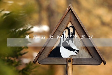 逾期后芝麻分掉多少