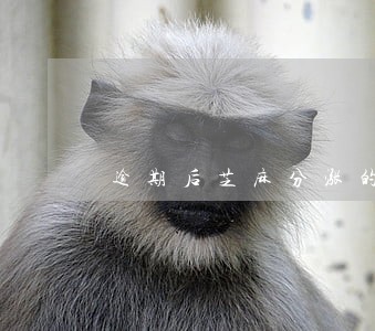 逾期后芝麻分涨的慢